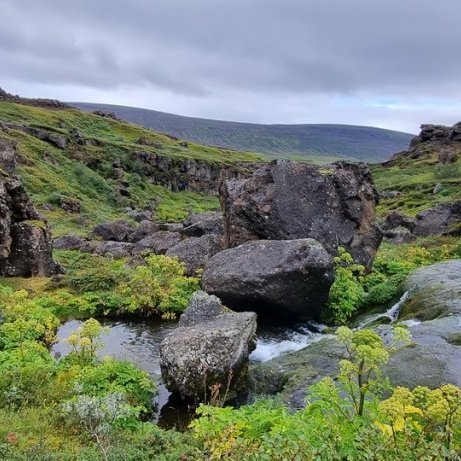 20240825_124745_resize