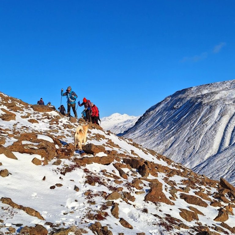 4920dc66-9d1b-4c95-b04c-111d2b3a1fbc