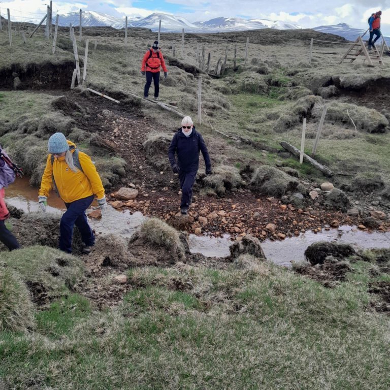 5953cf93-7671-4a06-878c-5a3a9a55a689