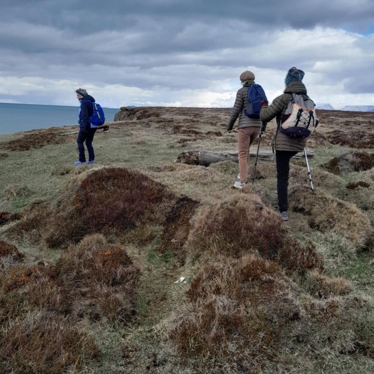 8c51464a-41ce-4aff-b416-21afaea9022f