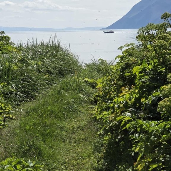 6126cb20-835c-48a4-a46d-ead4d11cc320