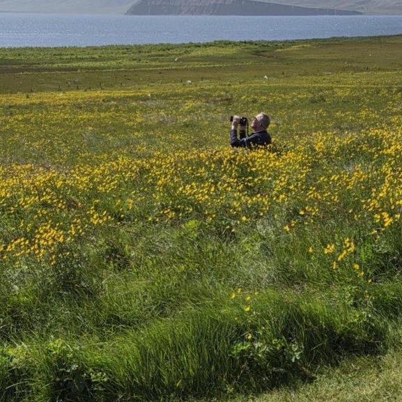 82ba9189-88cb-4649-bcc5-343bddf0335d