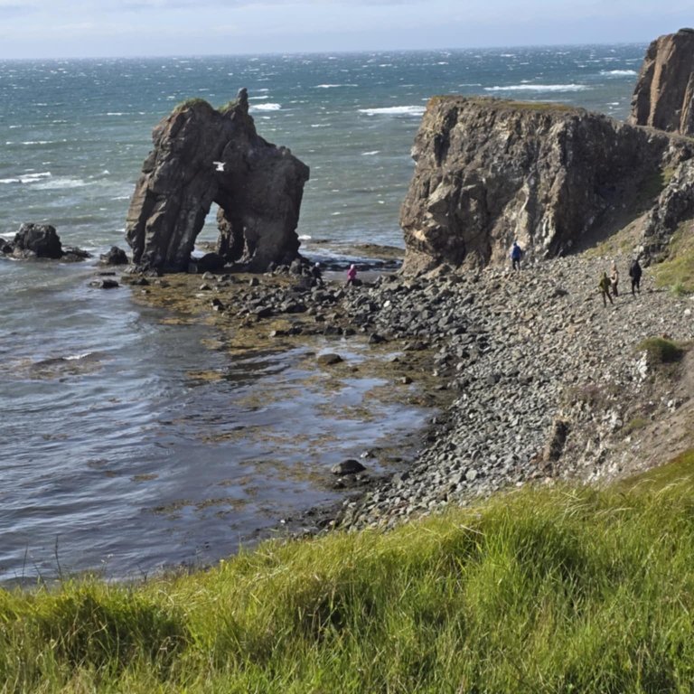 b9e5e44e-34a6-42ee-aab4-e43f7d47a89a