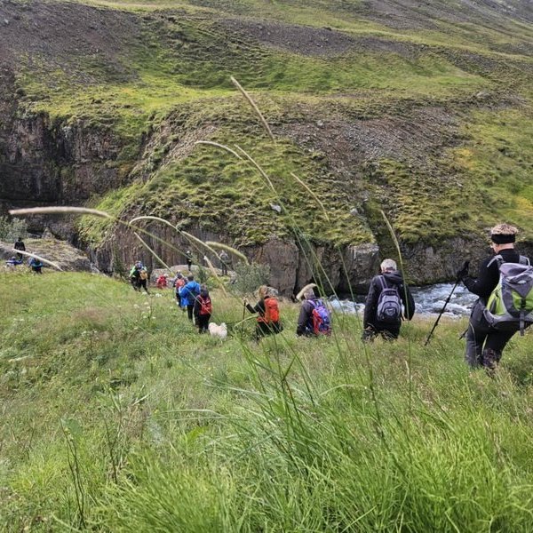 ecf3f77d-cd69-4ffb-84d5-04072c0c6a47_resize