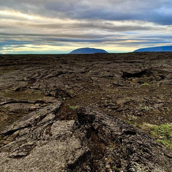 9539bc41-e87b-4bdc-938e-97b487909b05_resize