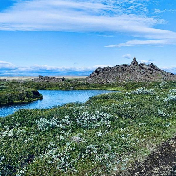 975e29c3-0744-46ae-9d15-72ed1f4d6815_resize