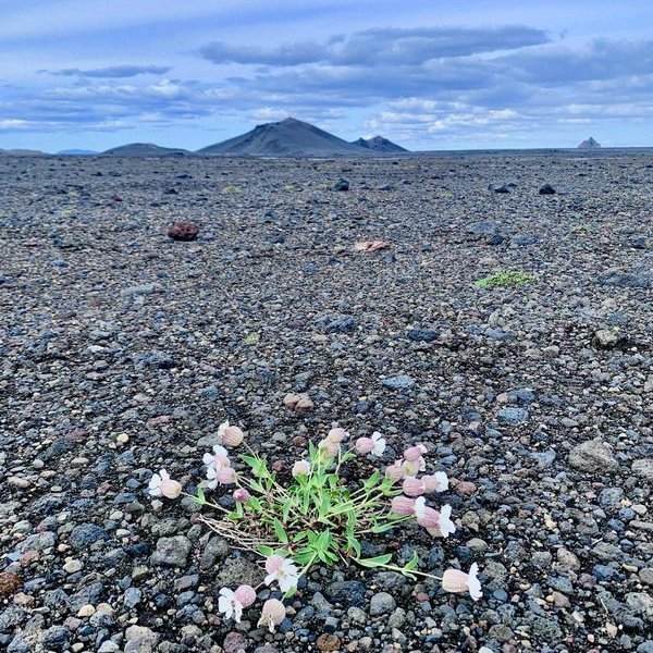 a7881815-d8fe-4933-bec9-adf1c2beb29e_resize