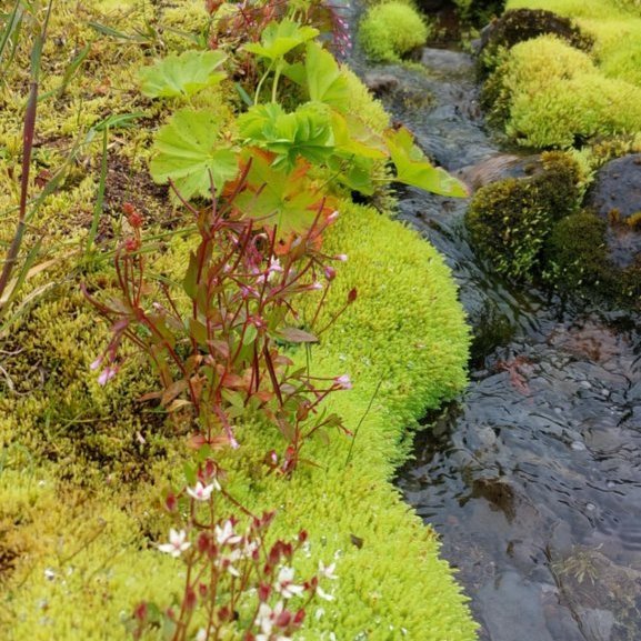 d0f5fb30-b61c-4829-a42b-3f77a5e8ac38