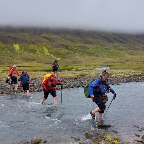 d1e81539-c84d-4232-908d-76cdd7d6c5df