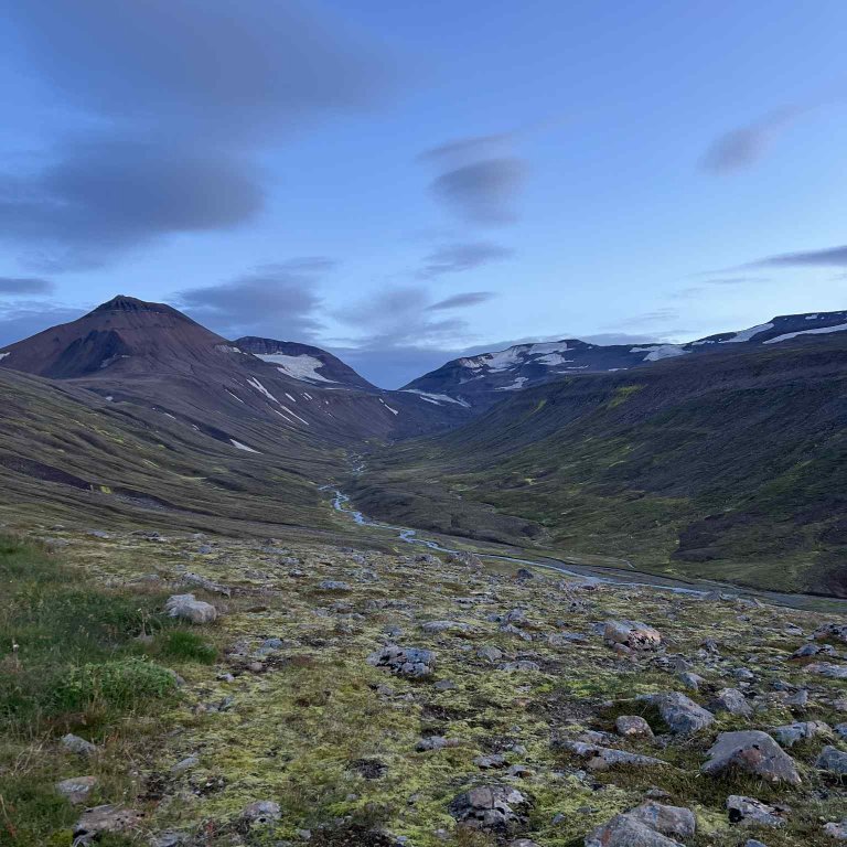 f982d420-7ef3-413a-93d2-eeedf3e65d68