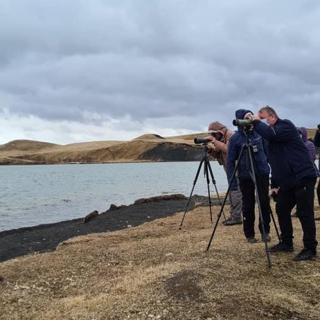 fuglaskodun-16-mai-mkj1jpgd