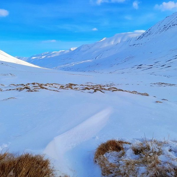 marjolijn-5_resize-copy