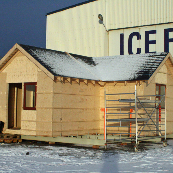 Nýi-Lambi síðdegis þ. 25.01.14