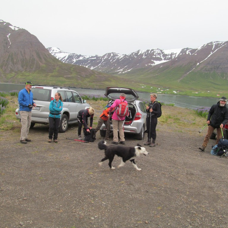 Gert klárt fyrir ferðina á Múlakollu.