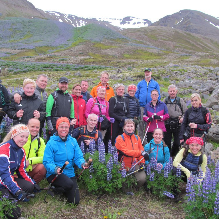 Hópurinn með Múlakollu í Baksýn.