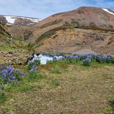 Á leið á Bæjafjall við Dalvík