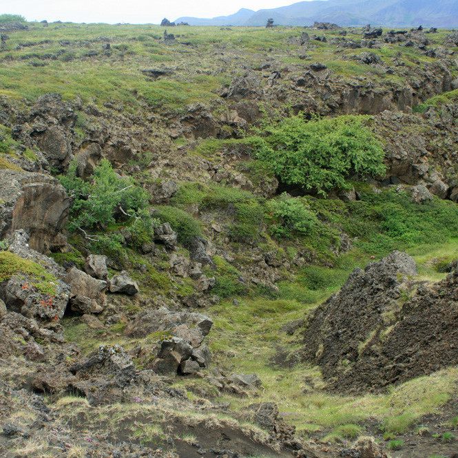 Vestan til í Búrfellshrauni eru víða djúpar skvompur.