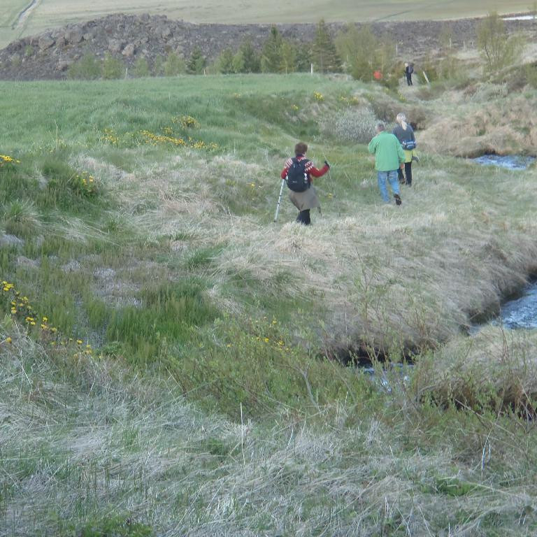 Á heimleið eftir skemmtilega ferð í góðu veðri