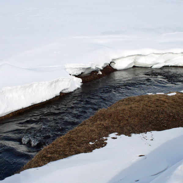 Kálfborgaráin var víða opin fyrstu 1 - 2 kílómetrana