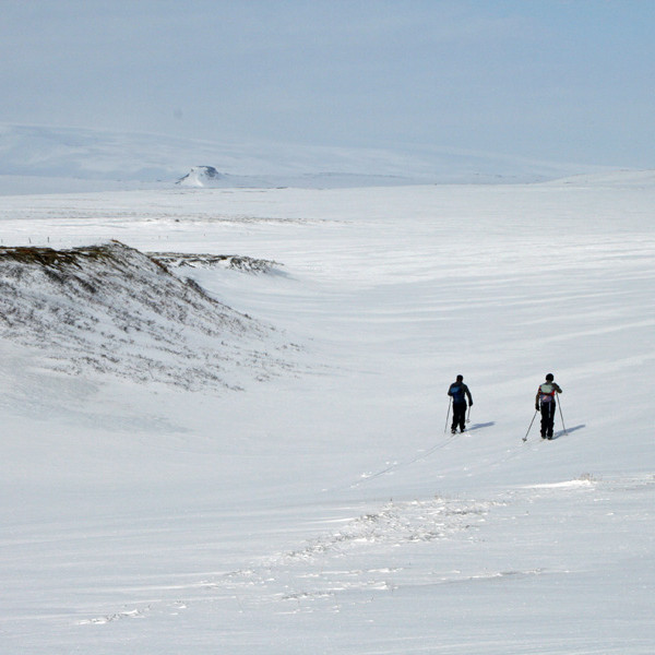 Í góðum skíðasnjó og blíðviðri ofan á Kálfborgaránni