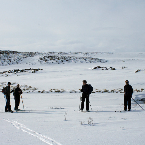 Horft vestur yfir Kálfborgará til Hrappsstaðasels
