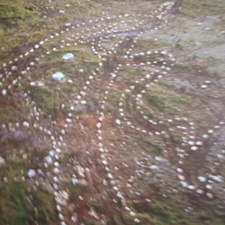 Endað var á að skoða listaverkið og Arna sagði frá listamanninum   Andrew Rogers.  Listaverkið á hefur skýrskotun í frið og merkir Rhythms of life.  Lífstakturinn