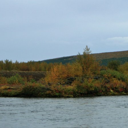 Rósagarðurinn, hólmi í austurkvísl Skjálfandafljóts við Þingey