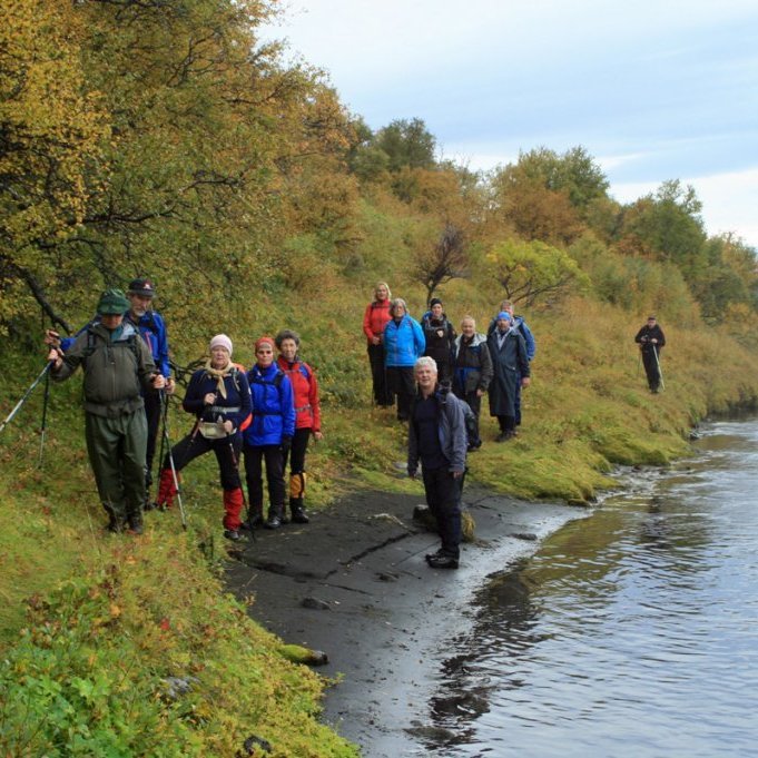 Á bakka Skjálfandafljóts undir Einarsstaðaskógi (Svarthamarsskógi)