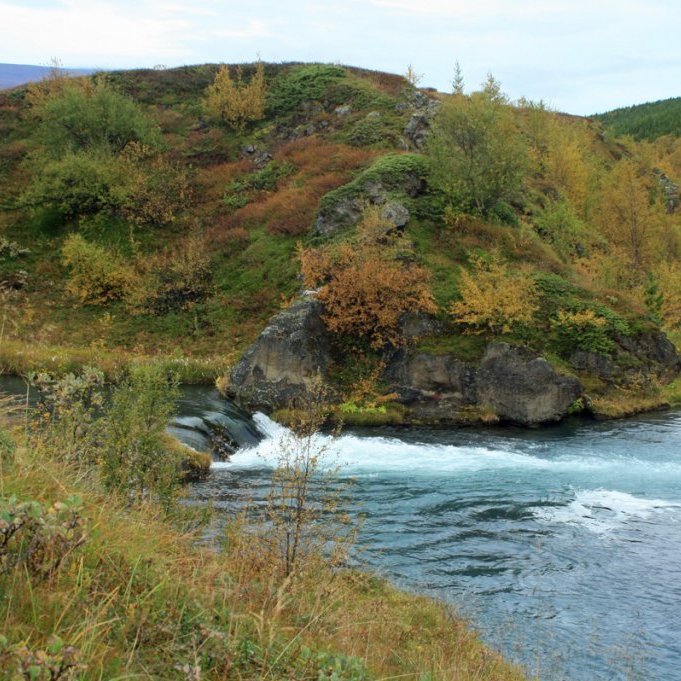 Fallegir haustlitir við Fossselskvísl austan Skuldaþingseyjar