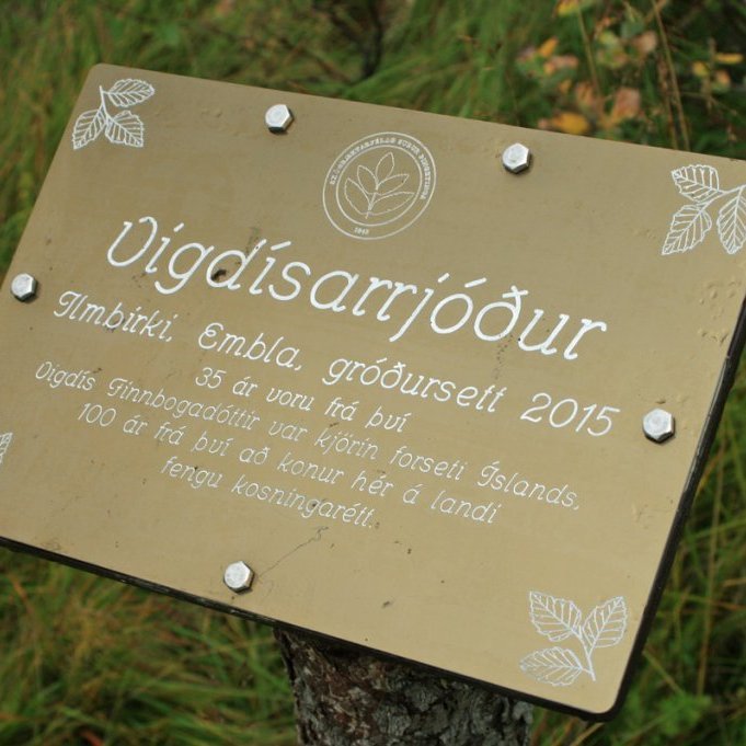 Þennan skjöld fundum við í rjóðri syðst og neðst í Fossselsskógi