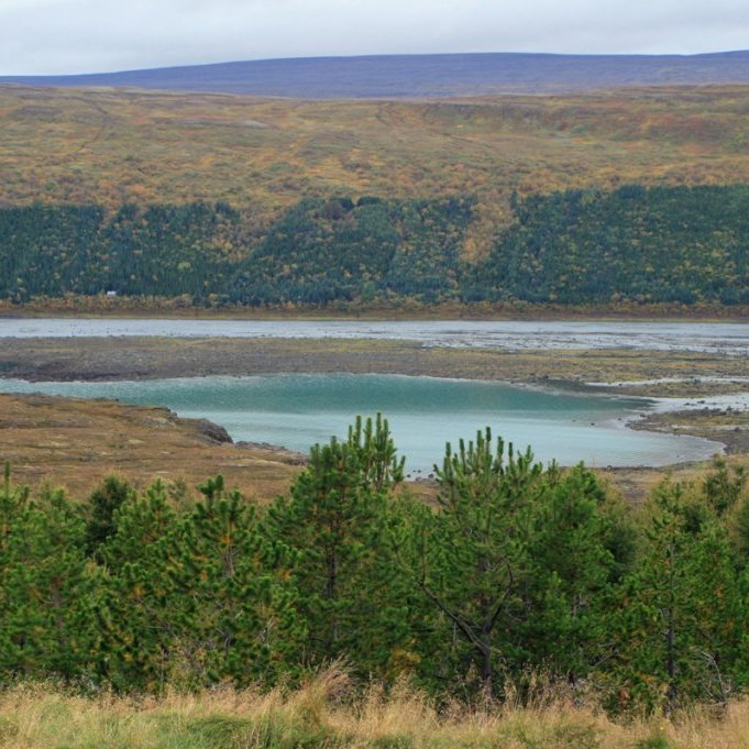 Horft frá Fossseli vestur yfir Skipapoll til Fellsskógar