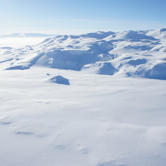 Dreki úr norðaustri