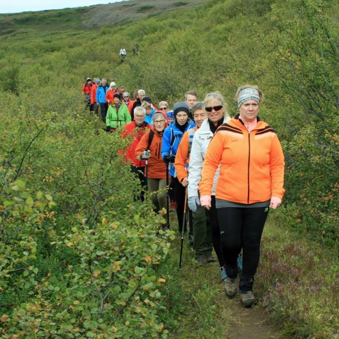 Á skjólgóðum og hlýlegum stíg á leið niður í Forvöð.