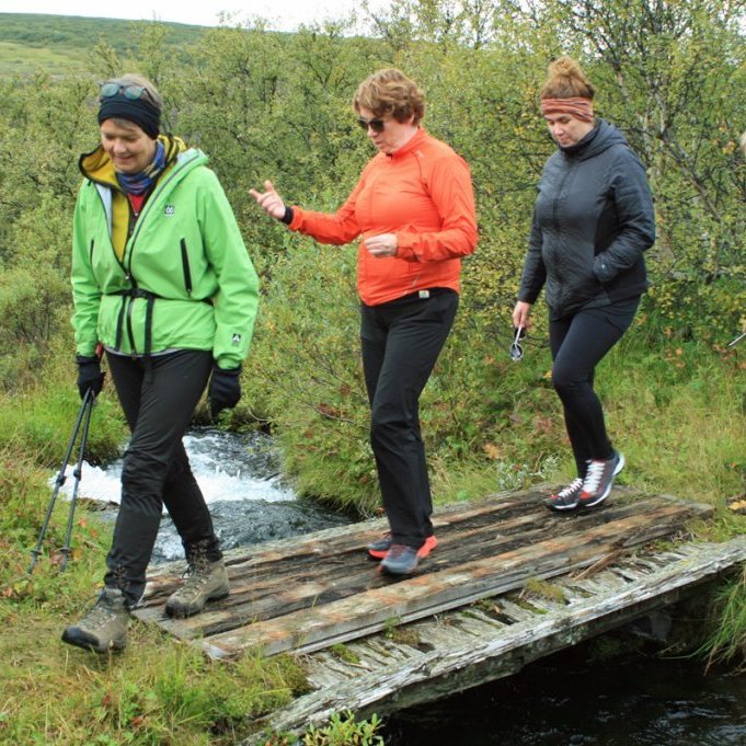 Gömul göngubrú yfir Ytri-Vígabjargslæk í Forvöðum.
