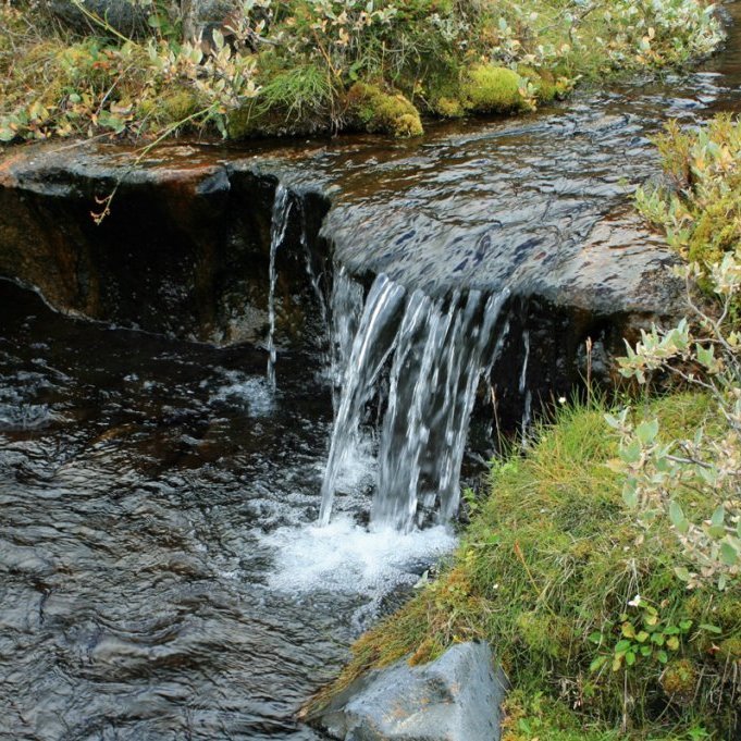 Í Réttinni í Forvöðum eru ótal margar silfurtærar lindir.