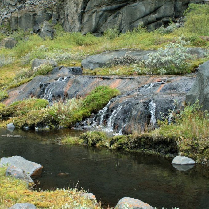 Fallegur gróður og mikið af tæru vatni í Réttinni í Forvöðum.
