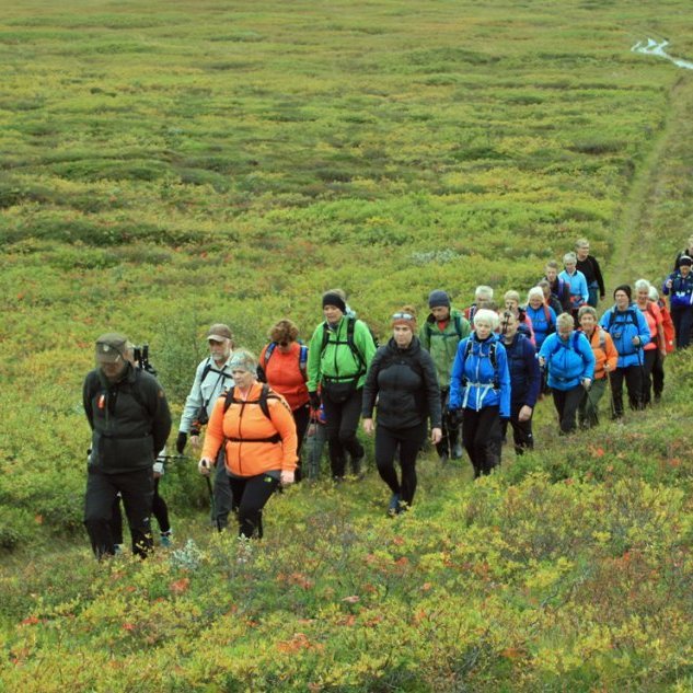 Á leið úr Hallhöfðaskógi austur í Hafursstaði. Hópurinn er rétt kominn yfir Bægisstaðamýrina.