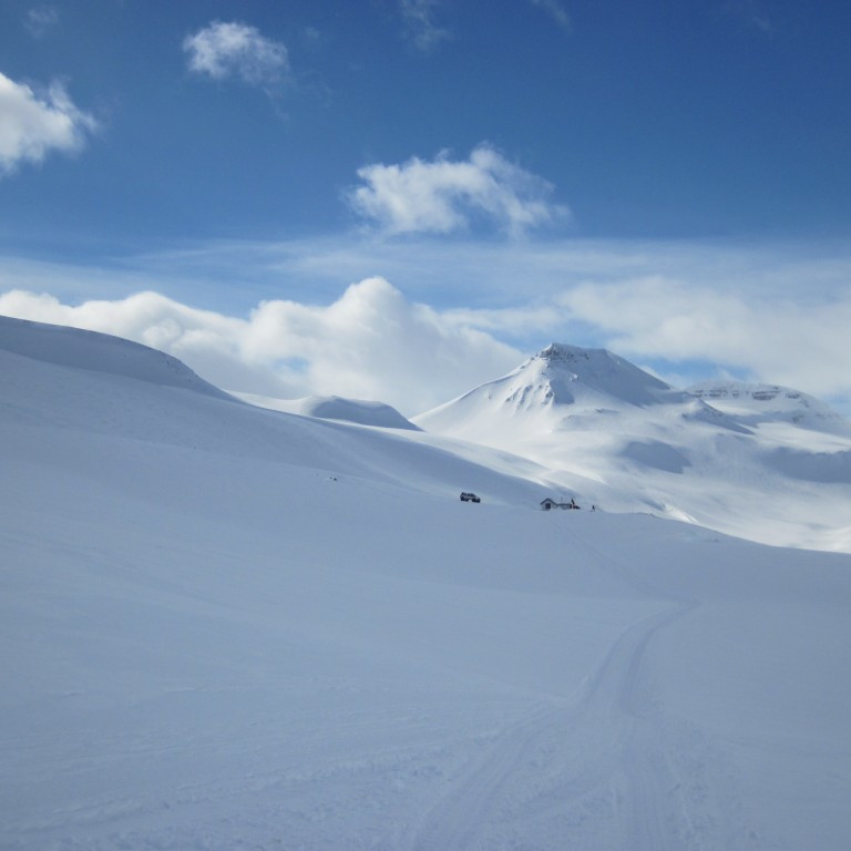 Loksins sér í Lamba