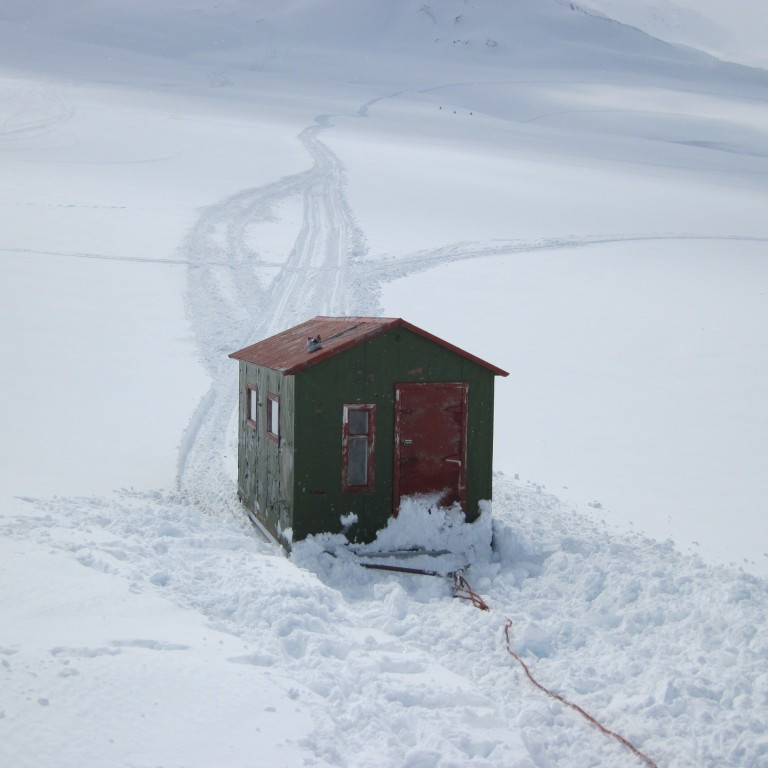 Losað frá köttur keyrði upp og langi spottinn sóttur