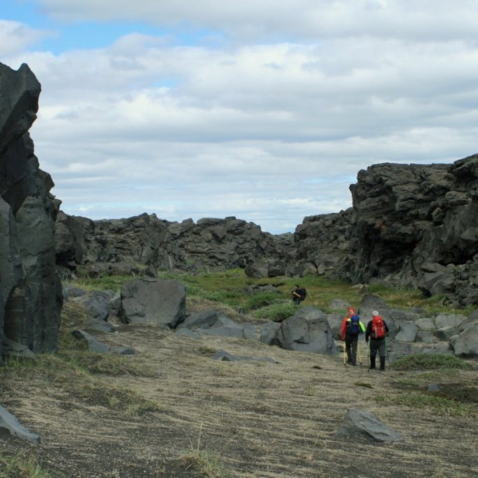 Syðst í Miðdal (Sönghofsdal) Kreppulinda er lítill gróður fyrr en kemur að lindunum