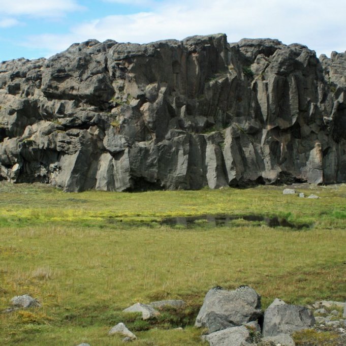 Stuðlaberg og votlendisgróður í Vesturdal Kreppulinda