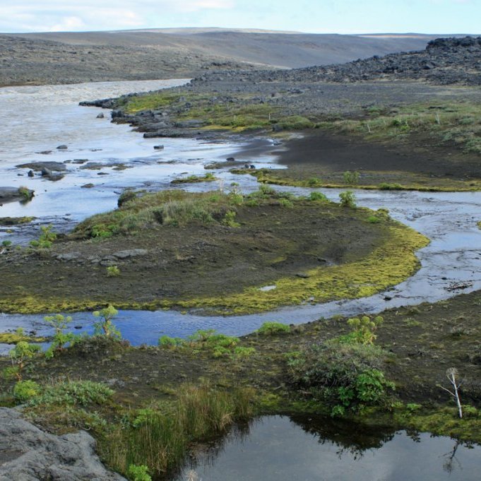 Nyrst í Austurdal Kreppulinda: Lækurinn úr dalnum rennur í Kreppu