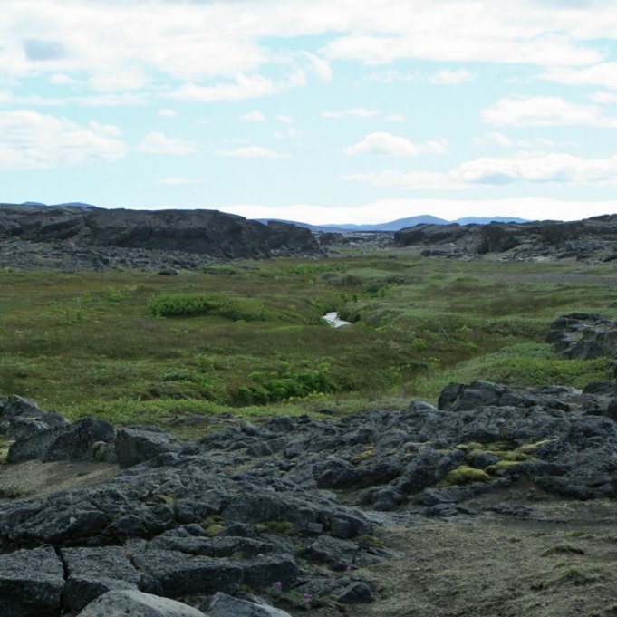 Austurdalur Kreppulinda er grunnur en fallega gróinn