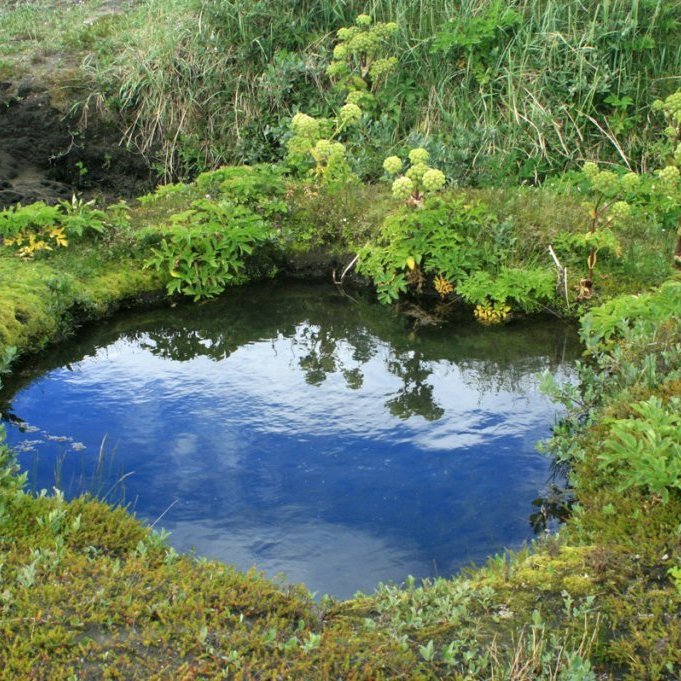 Snotur uppspretta við efstu lindina í Austurdal