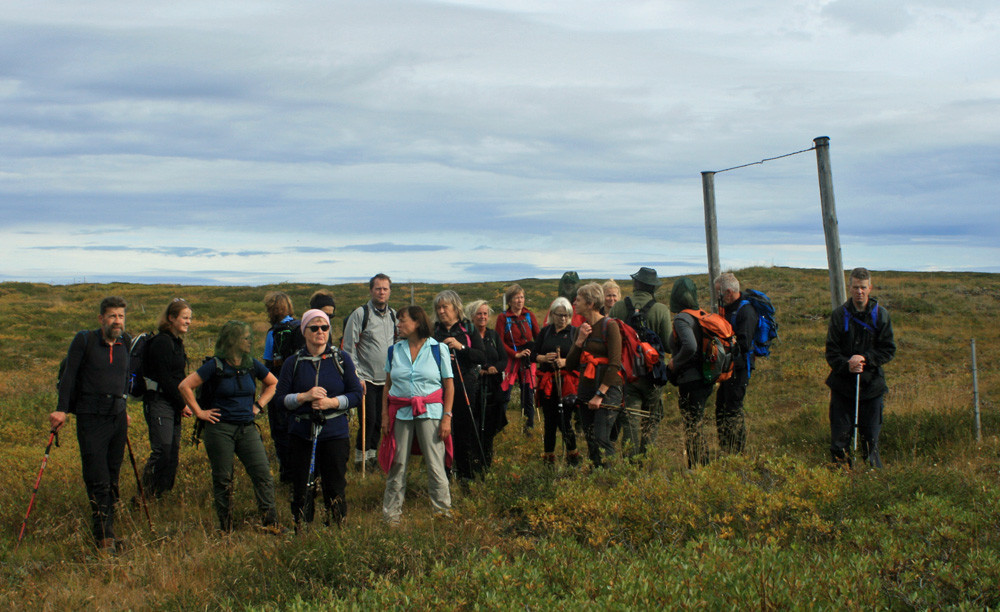 Við girðinguna á mörkum Mývatnssveitar og Þingeyjarsveitar.