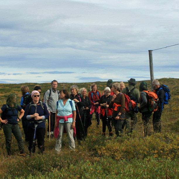 Við girðinguna á mörkum Mývatnssveitar og Þingeyjarsveitar.