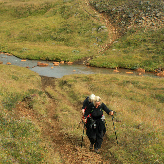 Sneiðingurinn yfir Laugagróf kostaði mikla vinnu um 1890.