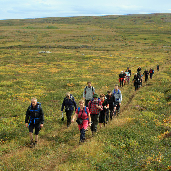 Vegurinn vestur Holtsmóa var lagður milli 1880 og 1890.