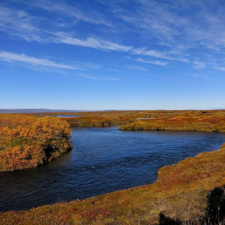 Haustlitir við Suðurá.