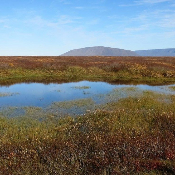 Sellandafjall og Bláfjall í Mývatnssveit